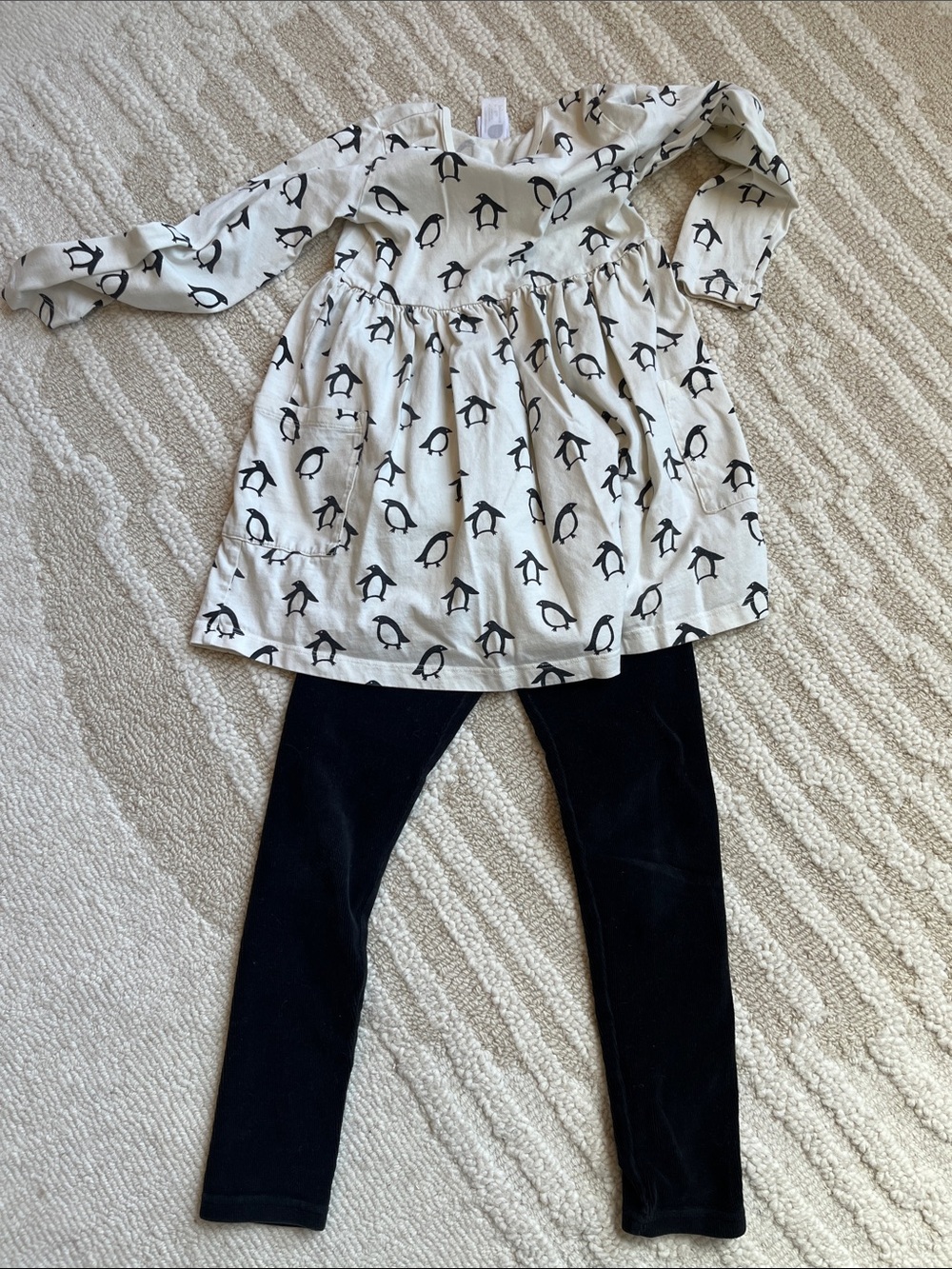 Hanna Andersson Penguin Print Dress with Black Leggings